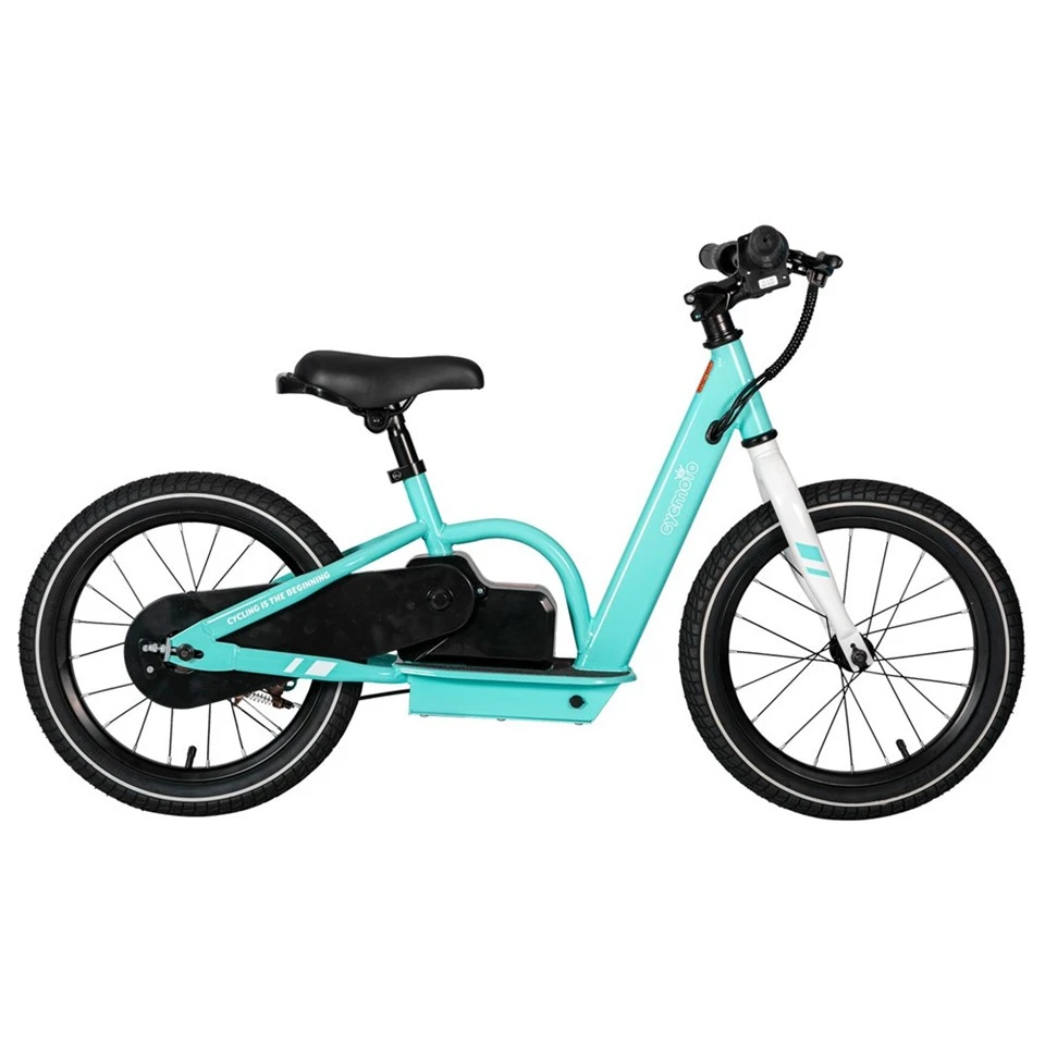 EBIKE100gr-16-1